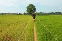 2015-06-11_Herzogstand_(367).JPG