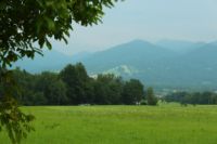 2015-06-11_Herzogstand_(377).JPG