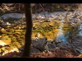 2015-12-29_Hirschhoerndl_(119).JPG