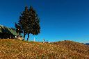 2015-12-29_Hirschhoerndl_(176)b.JPG