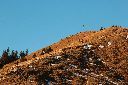 2015-12-29_Hirschhoerndl_(185)b.JPG