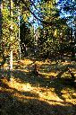 2015-12-29_Hirschhoerndl_(262)b.JPG