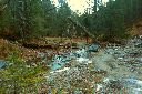 2015-12-29_Hirschhoerndl_(305)b.JPG