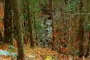 2015-12-29_Hirschhoerndl_(309)b.JPG