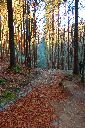 2015-12-29_Hirschhoerndl_(317)b.JPG
