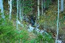 2015-12-29_Hirschhoerndl_(318)b.JPG