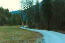 2015-12-29_Hirschhoerndl_(326)b.JPG