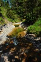 2014-07-19_Gumpenbad_(198).JPG