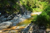 2014-07-19_Gumpenbad_(422).JPG