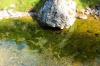 2014-07-19_Gumpenbad_(505).JPG
