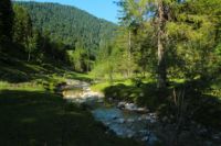 2014-07-19_Gumpenbad_(515).JPG
