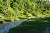 2014-07-19_Gumpenbad_(521).JPG