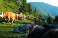 2014-07-19_Gumpenbad_(542).JPG