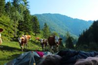 2014-07-19_Gumpenbad_(544).JPG