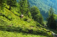 2014-07-19_Gumpenbad_(587).JPG