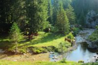 2014-07-19_Gumpenbad_(628).JPG