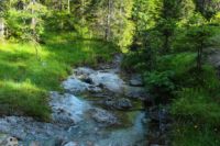 2014-07-19_Gumpenbad_(666).JPG