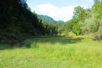 2014-07-19_Gumpenbad_(695).JPG