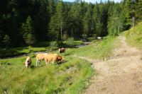 2014-07-19_Gumpenbad_(698).JPG