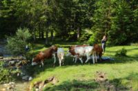 2014-07-19_Gumpenbad_(700).JPG