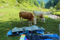 2014-07-19_Gumpenbad_(706).JPG