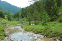 2014-07-19_Gumpenbad_(745).JPG