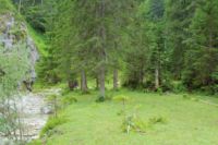 2014-07-19_Gumpenbad_(746).JPG
