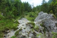 2014-07-19_Gumpenbad_(747).JPG
