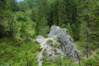 2014-07-19_Gumpenbad_(751).JPG
