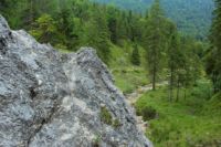2014-07-19_Gumpenbad_(755).JPG