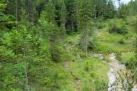 2014-07-19_Gumpenbad_(757).JPG