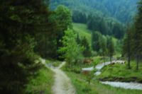 2014-07-19_Gumpenbad_(767).JPG