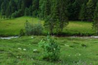 2014-07-19_Gumpenbad_(772).JPG