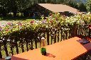 2017-08-18_3Garb1erlAlm_(114)1_GrasS.JPG