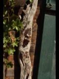 2017-08-18_3GarberlAlm_(108)_HolzG.JPG