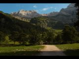 2017-08-18_5EngAhorn_(115).JPG