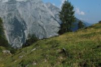 2015-08-12_Bins-Lamsenjoch_(210).JPG