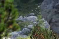 2015-08-12_Bins-Lamsenjoch_(252).JPG