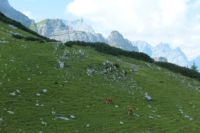 2015-08-12_Bins-Lamsenjoch_(290).JPG