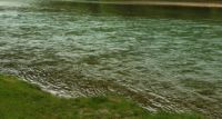 2015-06-15_Faule-Eng_(1066)b.JPG