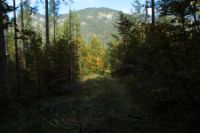 2015-10-03_Graskoepfel_(127).JPG