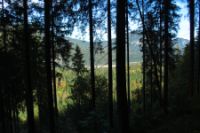 2015-10-03_Graskoepfel_(151).JPG