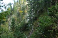 2015-10-03_Graskoepfel_(173).JPG
