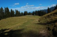 2015-10-03_Graskoepfel_(468).JPG