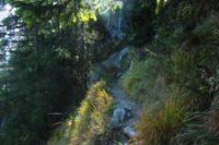 2015-10-03_Graskoepfel_(511).JPG