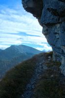 2015-10-03_Graskoepfel_(533)b.JPG