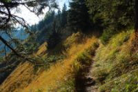 2015-10-03_Graskoepfel_(563).JPG