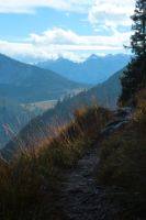 2015-10-03_Graskoepfel_(569).JPG
