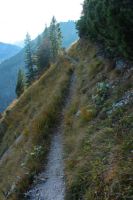 2015-10-03_Graskoepfel_(574).JPG