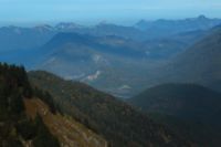 2015-10-03_Graskoepfel_(590).JPG